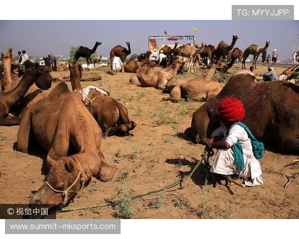 斯洛伐克特尔纳瓦举办年度文化节，吸引数千游客参与